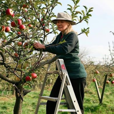 Create an image of a very official looking person on a step ladder, pruning an apple tree, but had made a mistake and cut out quiet a bit more of the